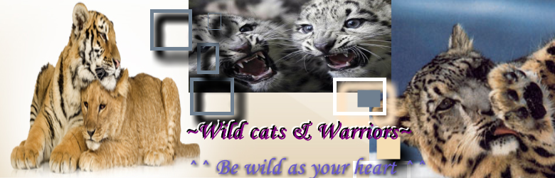   ~♫ Wild cats and warriors~♫